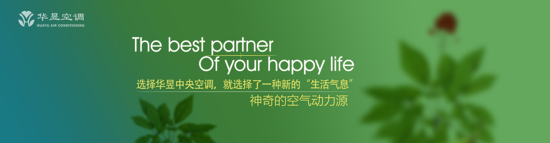 闲情别致网